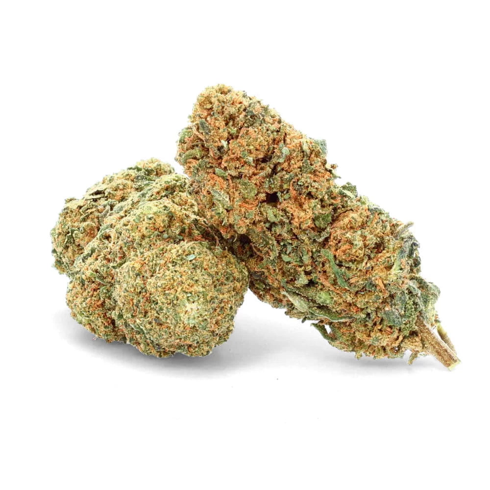 Lemon Amnesia 🍋