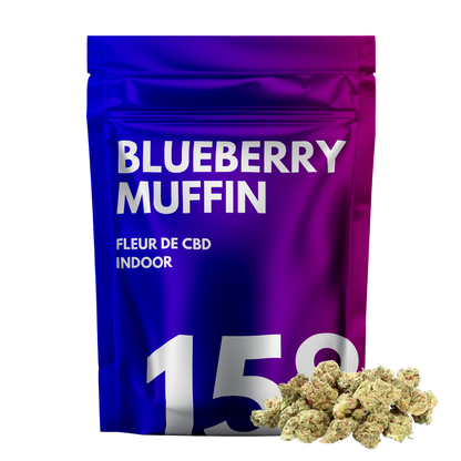 Blueberry Muffin 🫐