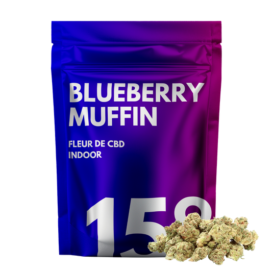 Blueberry Muffin 🫐
