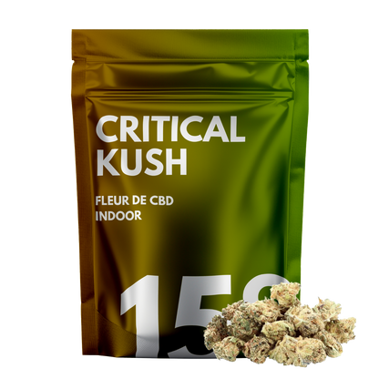 Critical Kush 🪵