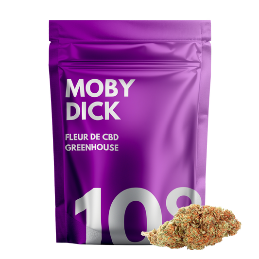 Moby Dick 🍇
