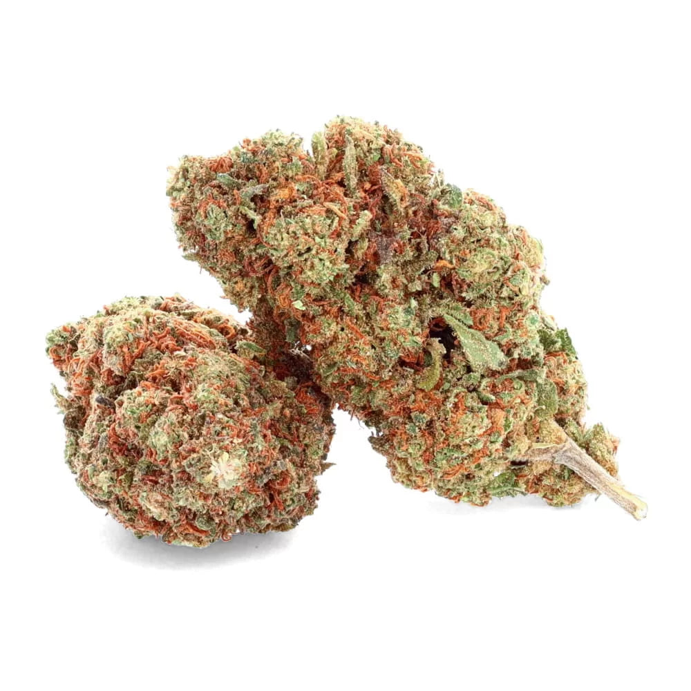 Moby Dick 🍇